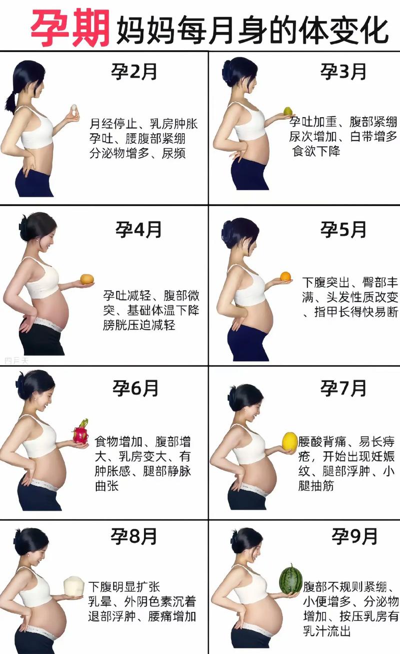 怀孕明星哪个最漂亮_女明星怀孕的综艺节目叫什么_现在已怀孕的女明星
